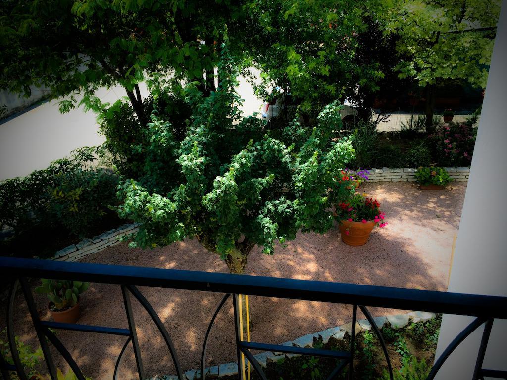 Bed & Breakfast Don Carlos San Martino di Lupari Exterior photo