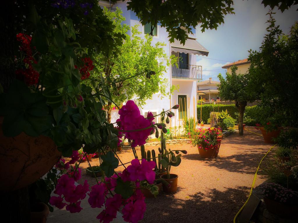 Bed & Breakfast Don Carlos San Martino di Lupari Exterior photo