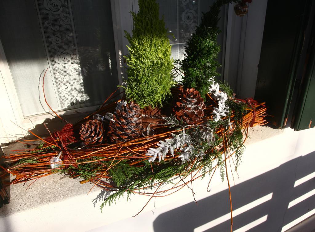 Bed & Breakfast Don Carlos San Martino di Lupari Exterior photo